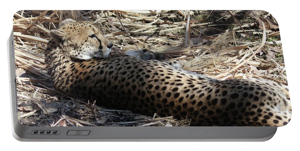 Maryland Portable Battery Charger featuring the photograph Cheetah Awakened by Ronald Reid