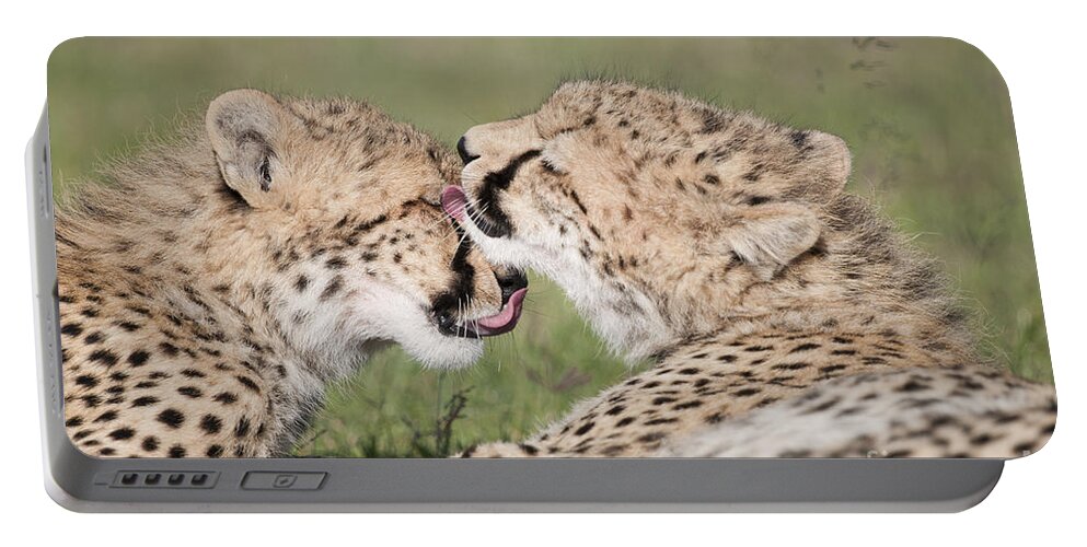 00486730 Portable Battery Charger featuring the photograph Cheetah Cubs Licking by Tui De Roy