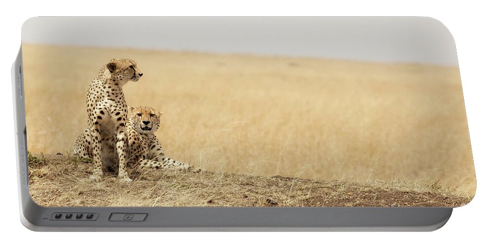 Africa Portable Battery Charger featuring the photograph Cheetah pair in the Masai Mara by Jane Rix