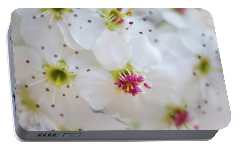 Flowers Portable Battery Charger featuring the photograph Cherry Blooms by Darren White