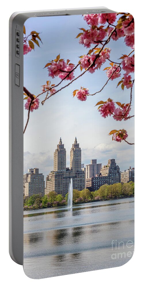 Central Park Portable Battery Charger featuring the photograph Cherry blossom in Central Park in spring, New York, USA by Matteo Colombo
