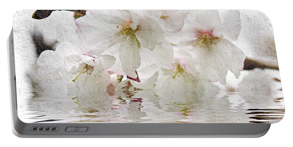 Blossom Portable Battery Charger featuring the photograph Cherry blossom in water by Elena Elisseeva