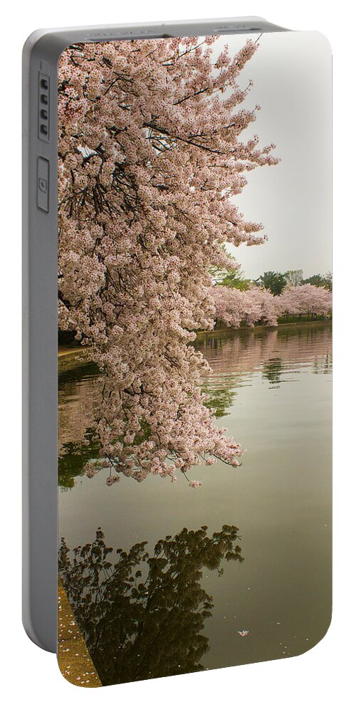Tidal Basin Portable Battery Charger featuring the photograph Cherry Blossoms Along the Tidal Basin 8x10 by Leah Palmer