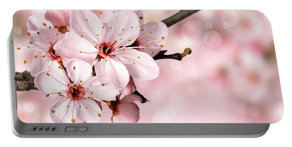 Japanese Cherry Blossoms Portable Battery Charger featuring the photograph Cherry Blossoms in Bloom by Leah McPhail