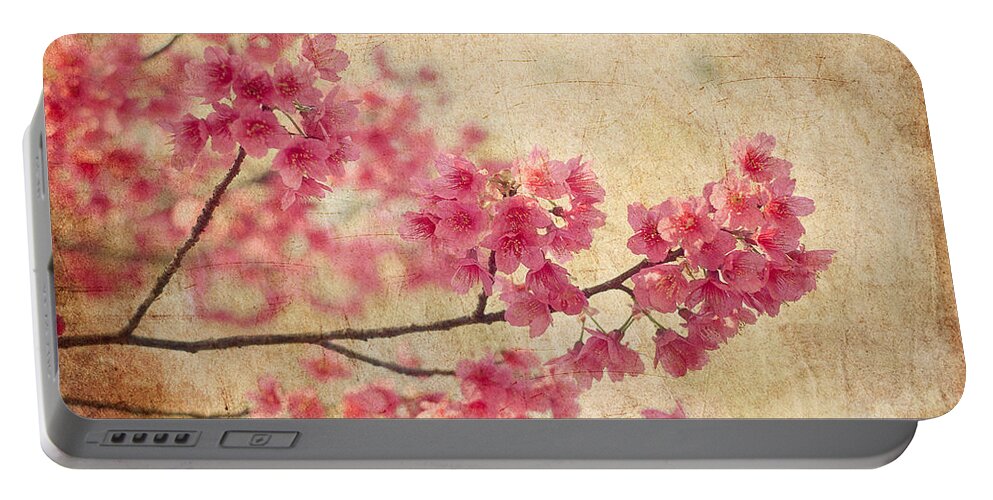 Flower Portable Battery Charger featuring the photograph Cherry Blossoms by Richard Leighton