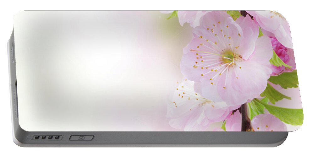 Background Portable Battery Charger featuring the photograph Cherry Flowers in Garden by Anastasy Yarmolovich