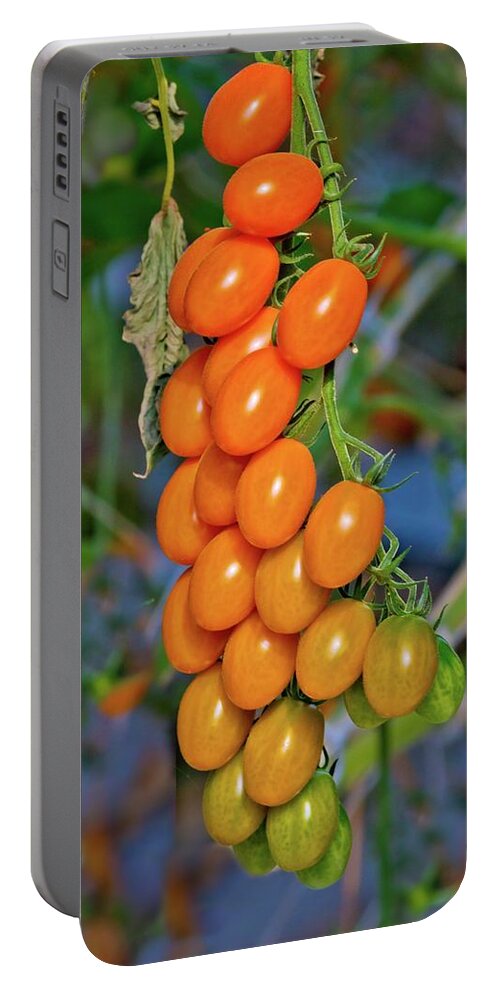 Tomatoes Portable Battery Charger featuring the photograph Cherry Tomatoes by Linda Unger