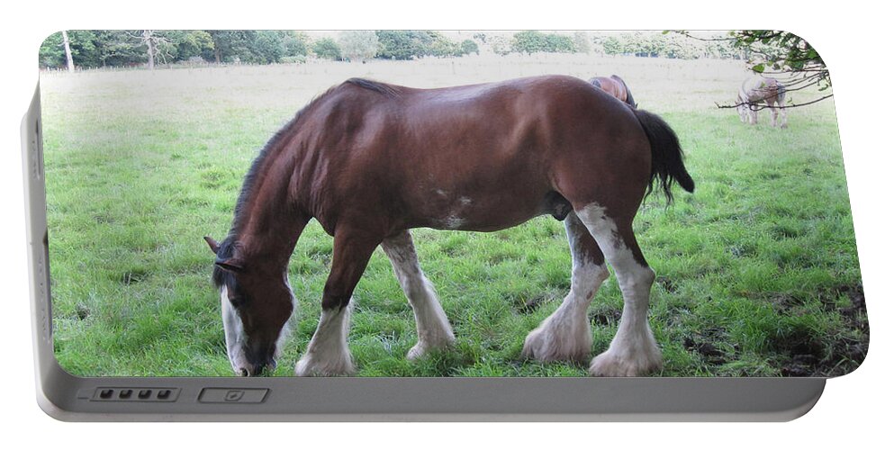Horse Portable Battery Charger featuring the photograph Chestnut Clydesdale by Brandy Woods