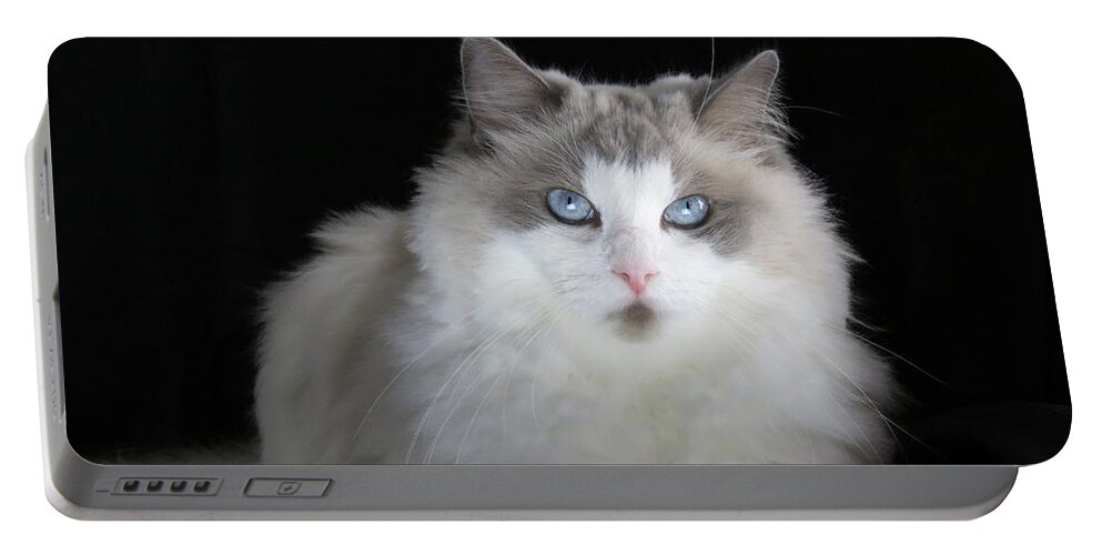 Cat Portable Battery Charger featuring the digital art Chewie by Kathleen Illes