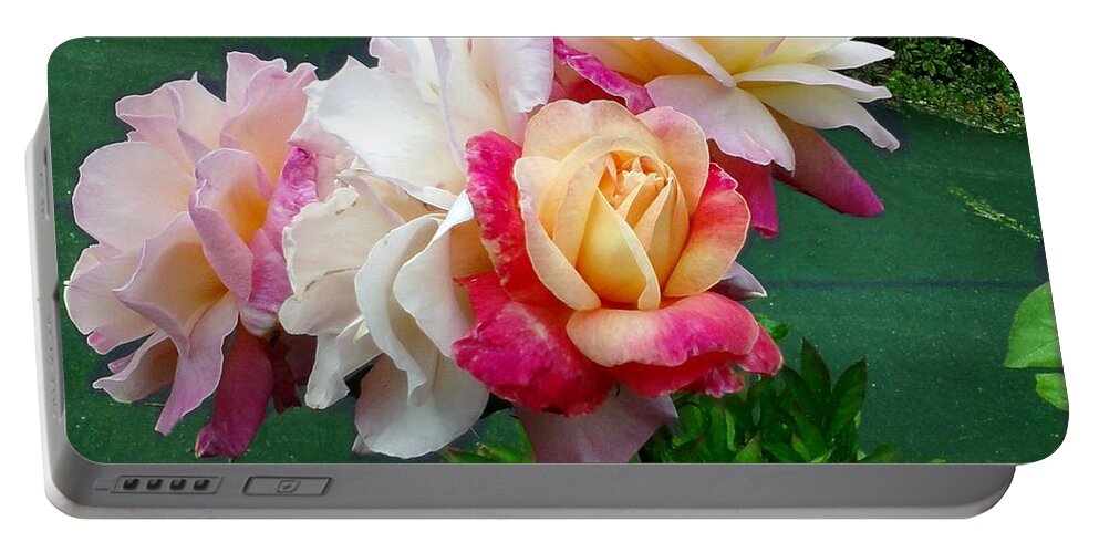 Roses Portable Battery Charger featuring the photograph Chicago Peace Roses by A L Sadie Reneau