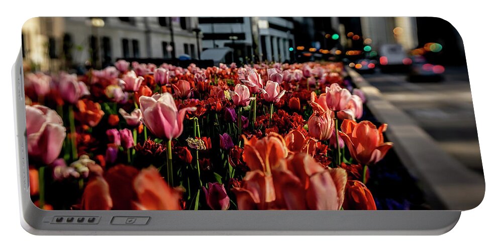 Tulips Portable Battery Charger featuring the photograph Chicago Tulips in morning sun by Sven Brogren