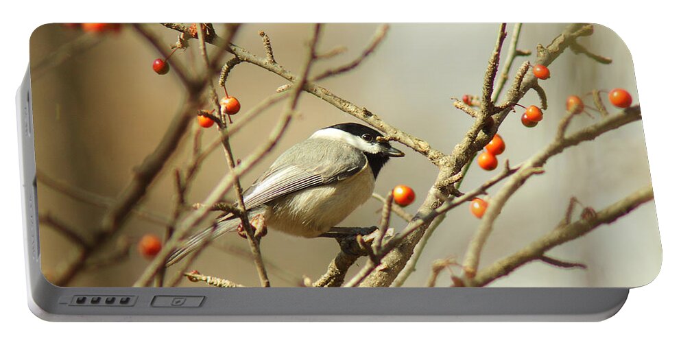 Animal Portable Battery Charger featuring the photograph Chickadee 2 of 2 by Robert Frederick