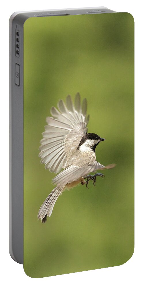 Bird Portable Battery Charger featuring the photograph Chickadee In Flight by Alan Lenk