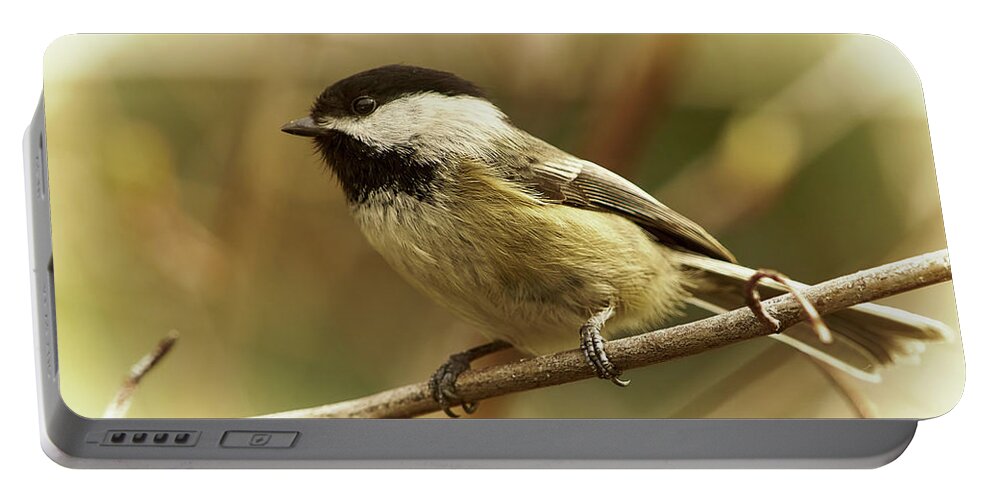 Bird Portable Battery Charger featuring the photograph Chickadee by Loni Collins