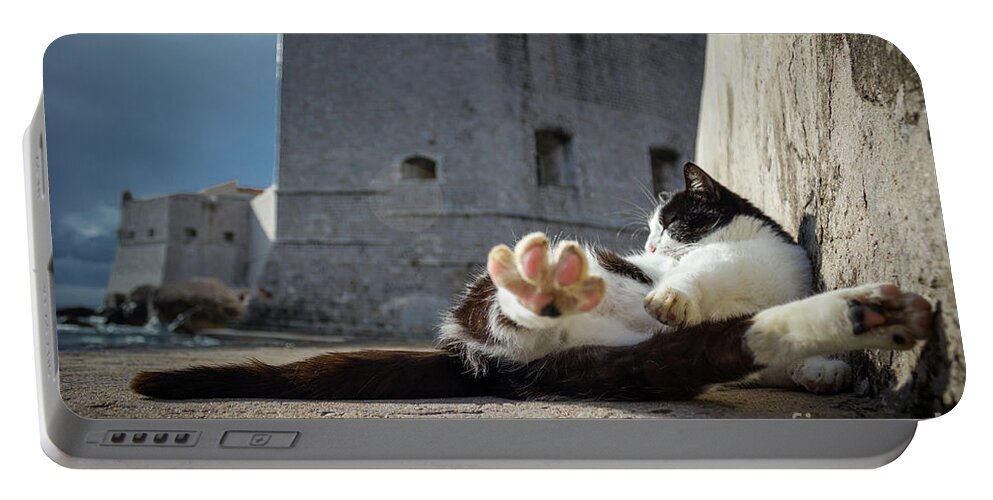 Cat Portable Battery Charger featuring the photograph Chill Kitty of Dubrovnik by Becqi Sherman