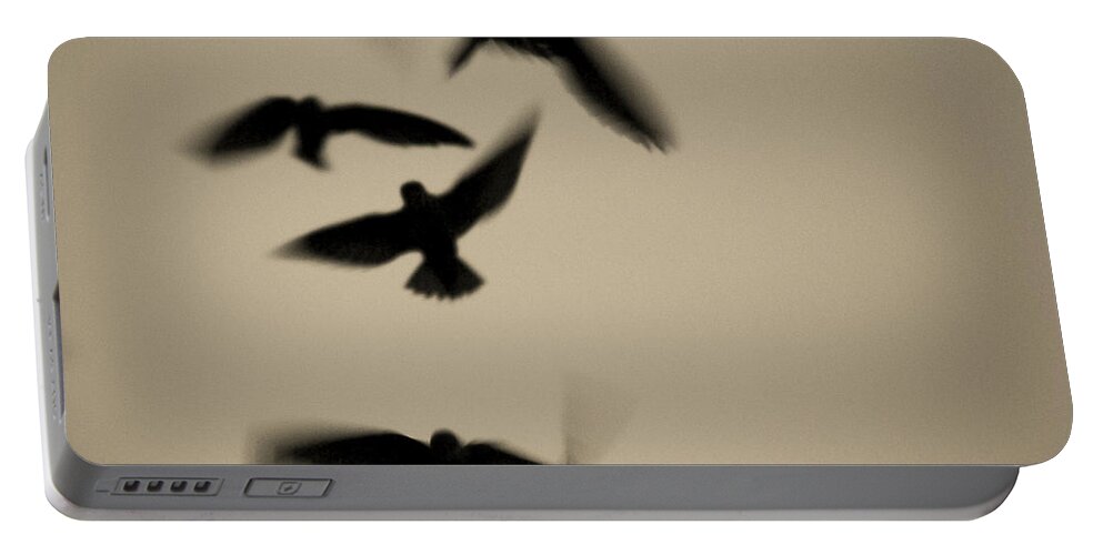 Bird Art Portable Battery Charger featuring the photograph Chimney Swifts Dancing the Chimney by John Harmon