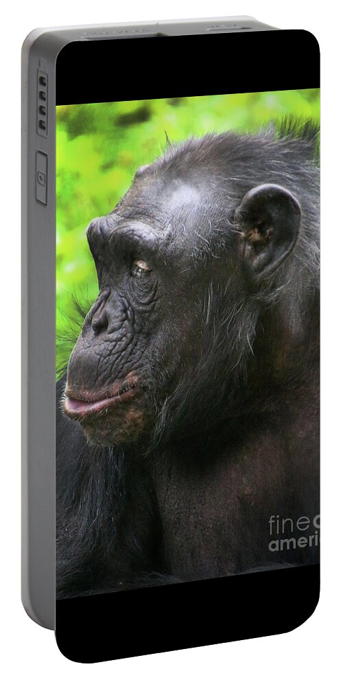 Chimpanzee Portable Battery Charger featuring the photograph Chimpanzee-9273 by Gary Gingrich Galleries