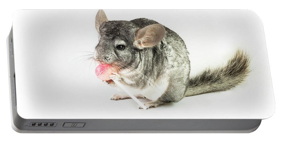 Ancestral Portable Battery Charger featuring the photograph Chinchilla with lollipop by Benny Marty
