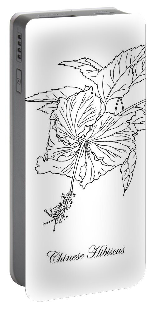 Chinese Hibiscus Portable Battery Charger featuring the drawing Chinese Hibiscus. Botanical by Masha Batkova