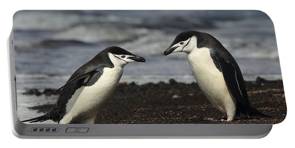 Penguin Portable Battery Charger featuring the photograph Chinstrap Penguin Duo by Bruce J Robinson