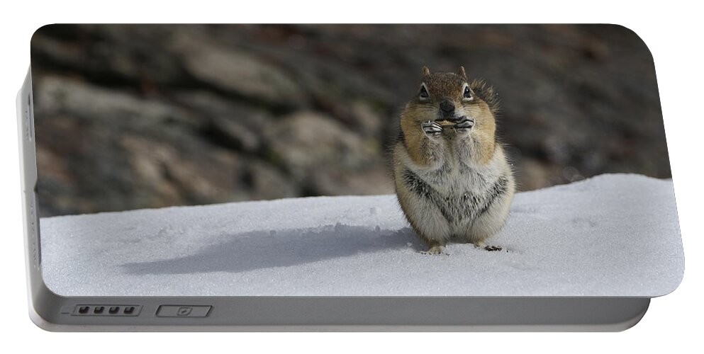 Chipmunk Portable Battery Charger featuring the photograph Chipmunk by Brian Kamprath