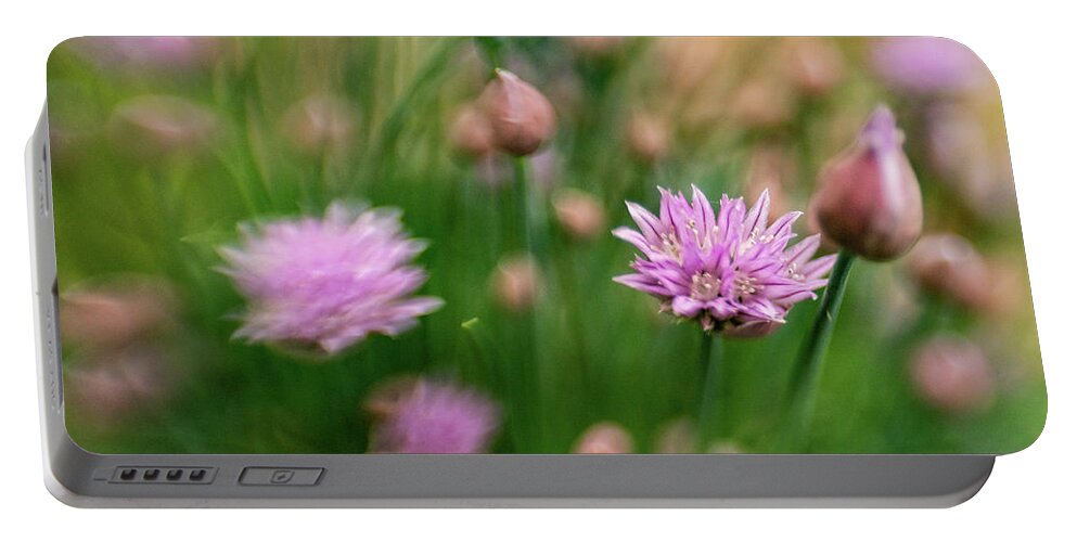 Chive Portable Battery Charger featuring the photograph Chive Cookery by Pamela Taylor