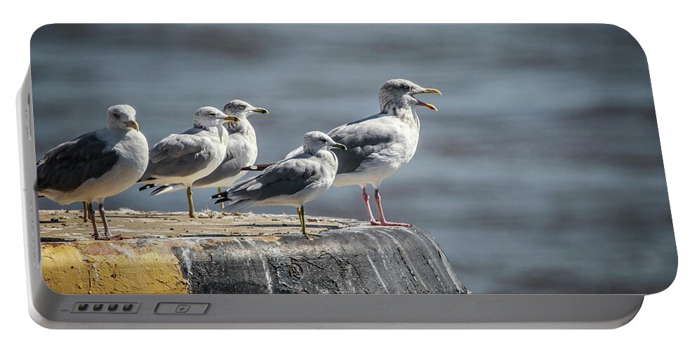 Seagulls Portable Battery Charger featuring the photograph Choir Practice by Ray Congrove