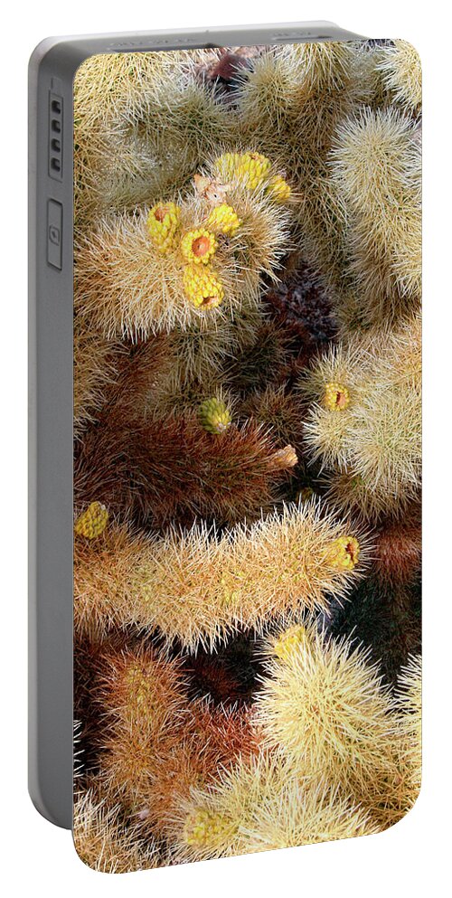 Joshua Tree Portable Battery Charger featuring the photograph CHOLLA HEAT Joshua Tree National Park CA by William Dey