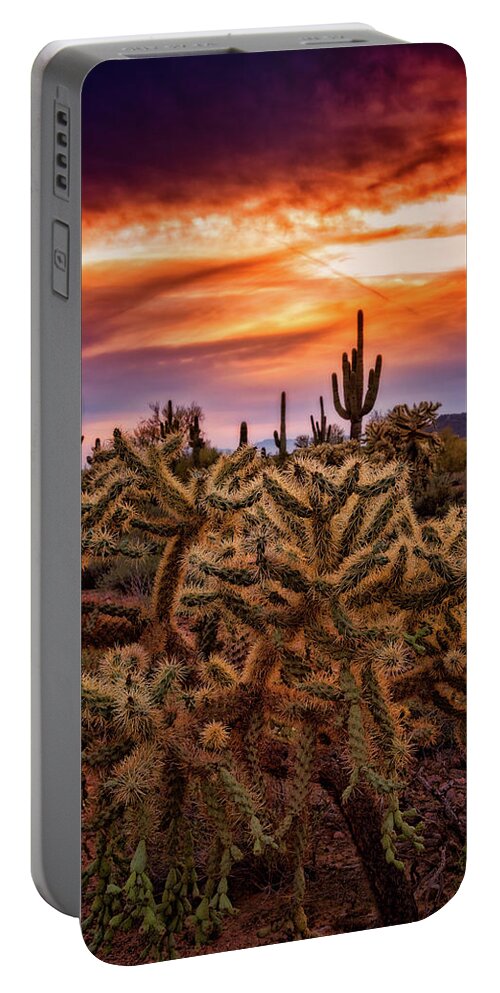 Sunset Portable Battery Charger featuring the photograph Cholla Glow Sunset by Saija Lehtonen
