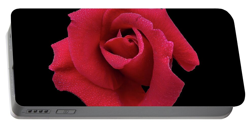 Rose Portable Battery Charger featuring the photograph Christine by Mark Blauhoefer