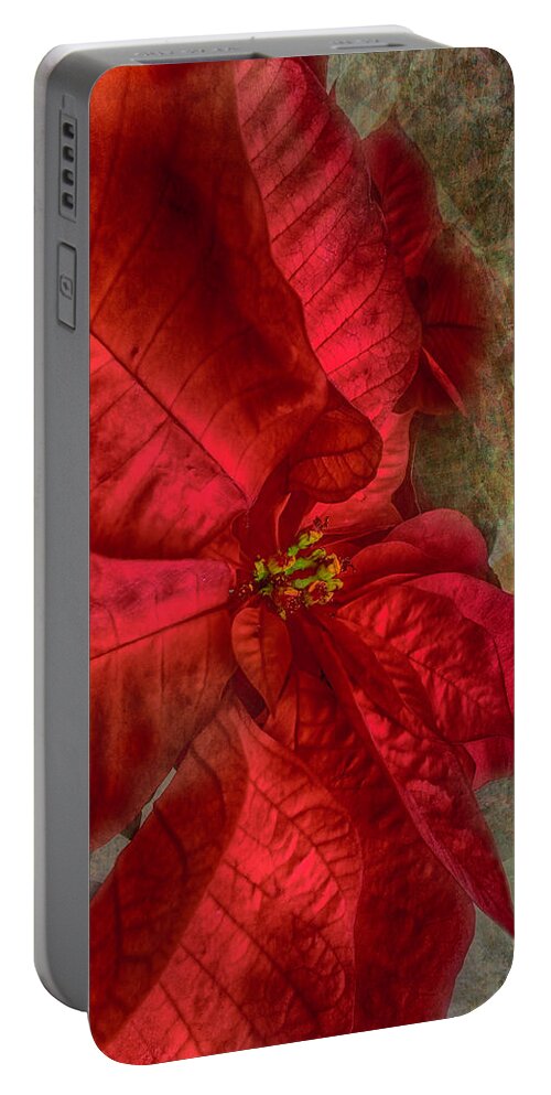 Poinsettia Portable Battery Charger featuring the photograph Christmas Flower by Judy Hall-Folde