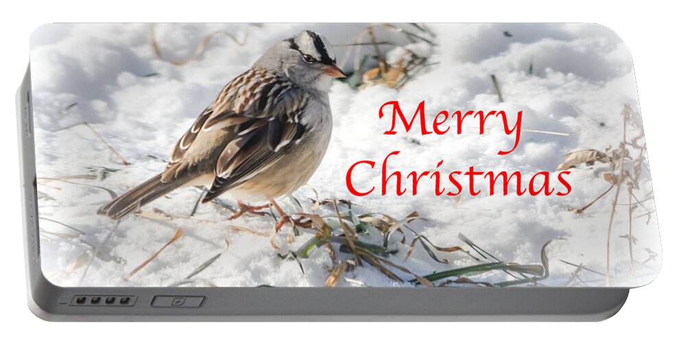 White-crowned Sparrow Portable Battery Charger featuring the photograph Christmas Sparrow by Holden The Moment