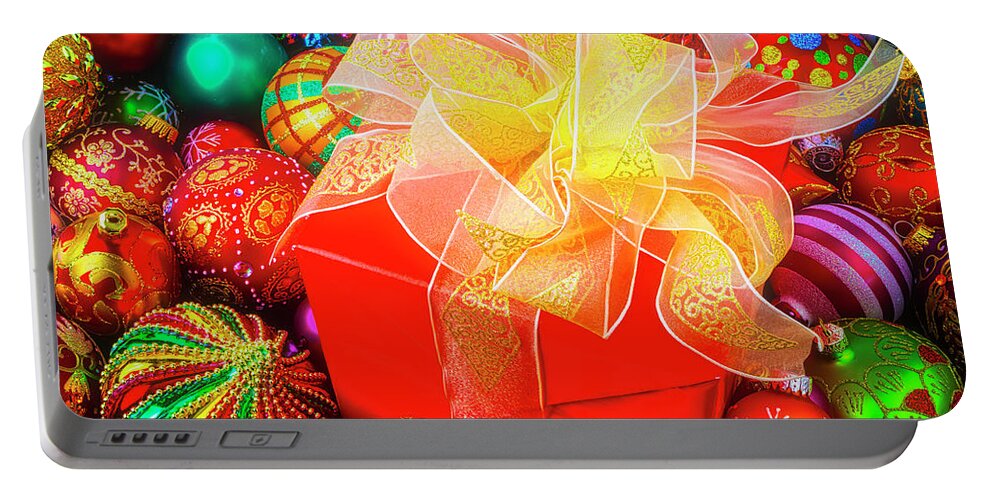 Abundance Red Fancy Portable Battery Charger featuring the photograph Christmas Surprise by Garry Gay