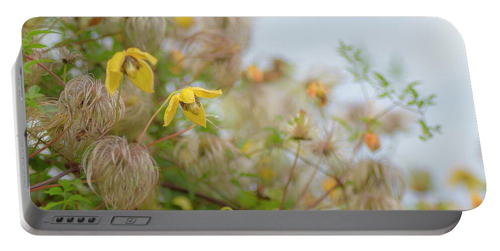 Clematis Portable Battery Charger featuring the photograph Clematis by Diane Fifield