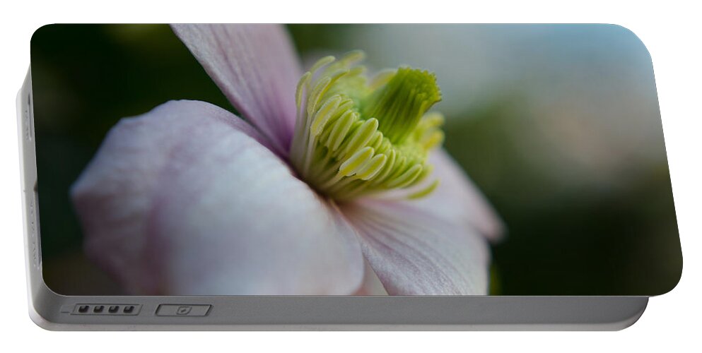 Flower Portable Battery Charger featuring the photograph Clematis flower face of Spring by Spikey Mouse Photography