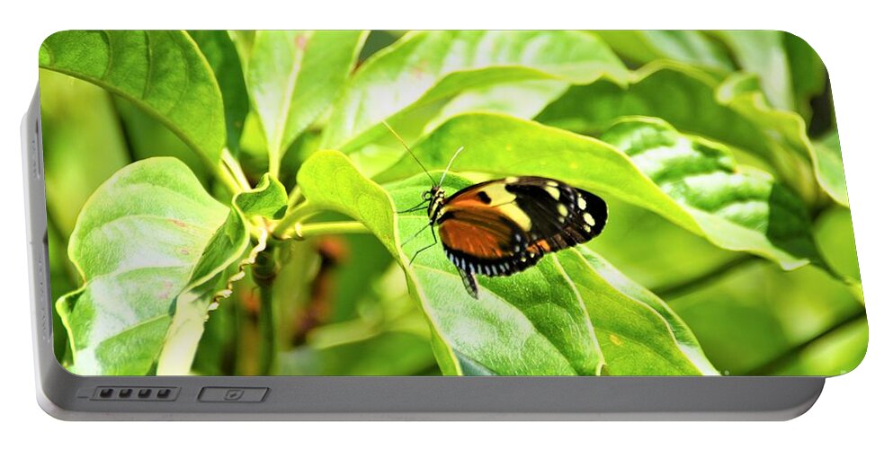Cleveland Ohio Butterfly Portable Battery Charger featuring the photograph Cleveland Butterflies3 by Merle Grenz