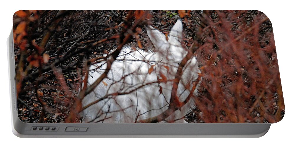 Climate-change Portable Battery Charger featuring the photograph Climate-Change-Hindered Hiding Hare by Ted Keller