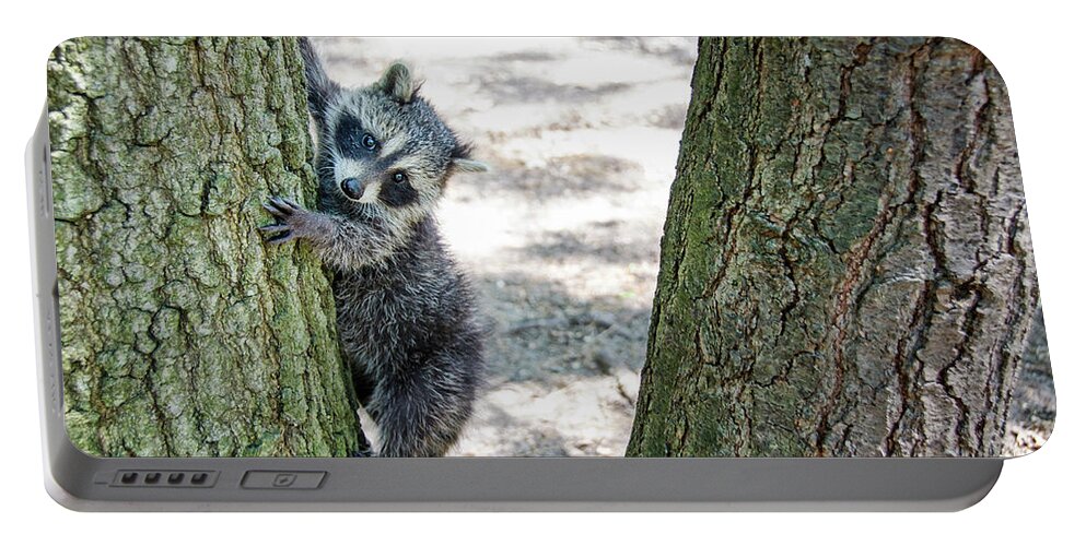 Raccoon Portable Battery Charger featuring the photograph Climber by Peg Runyan