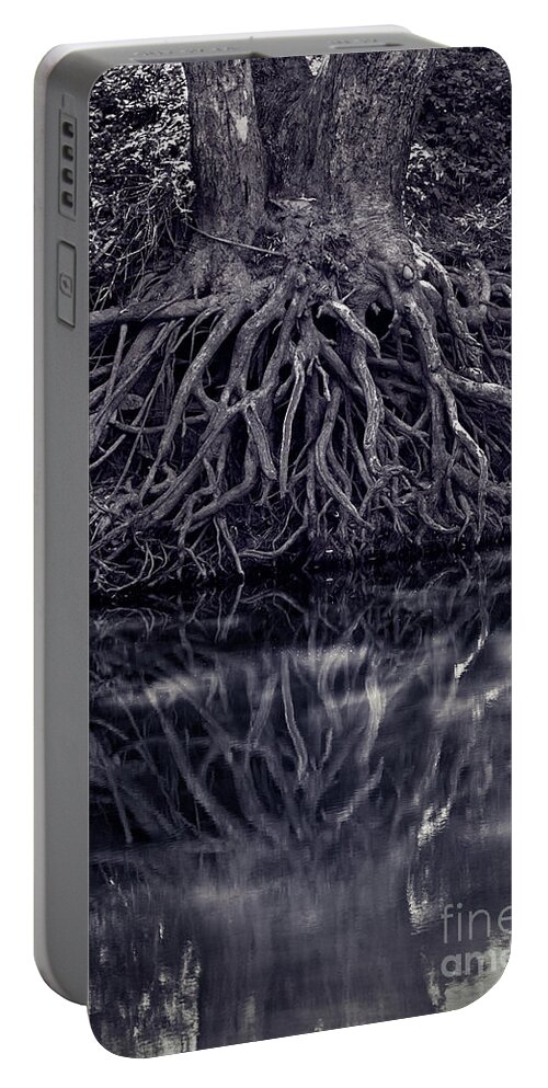 Tree Portable Battery Charger featuring the photograph Clinging to the River Bank by Linda Lees