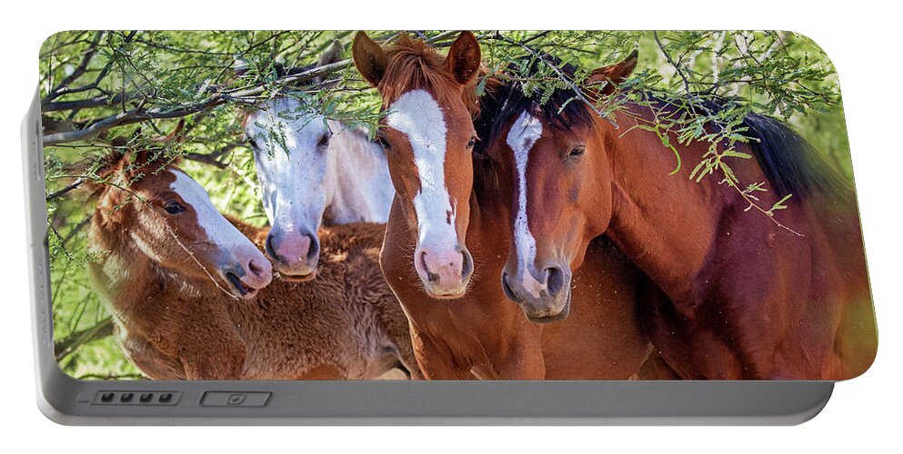 Mesa Portable Battery Charger featuring the photograph Closeup of Herd of Four Wild Horses by Good Focused
