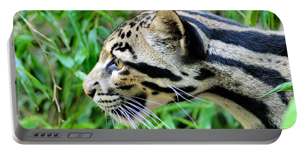 Clouded Leopard Portable Battery Charger featuring the photograph Clouded Leopard in the Grass by Kristin Elmquist