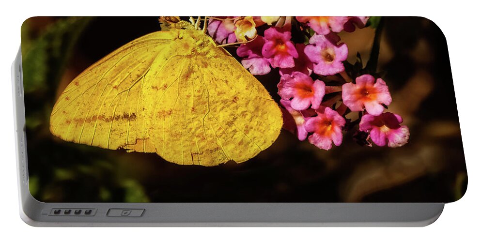 Nature Portable Battery Charger featuring the photograph Cloudless Giant Sulfur Butterfly by Robert Bales