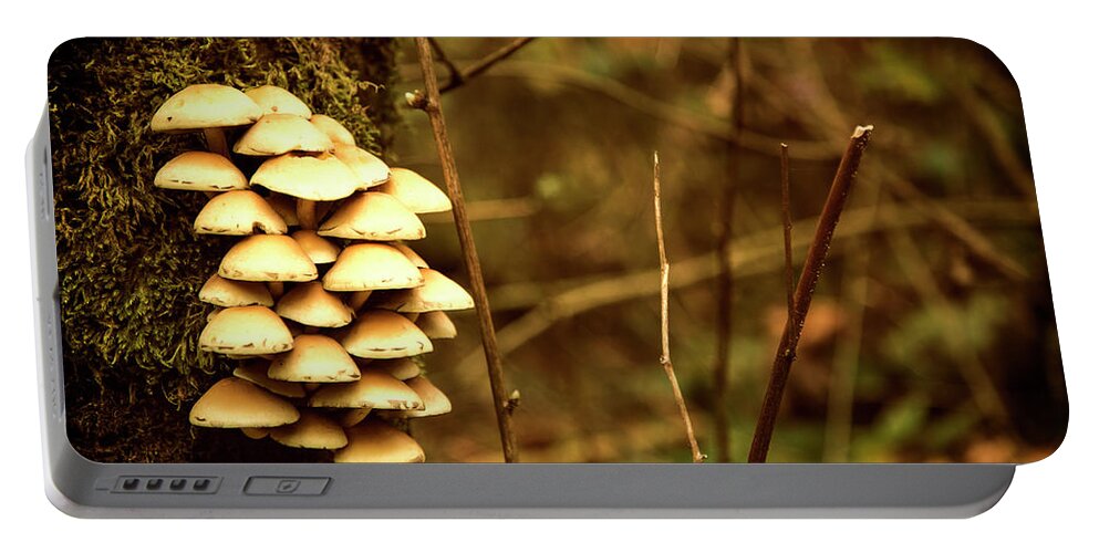 Mushrooms Portable Battery Charger featuring the photograph Cluster o Shrooms by Monte Arnold