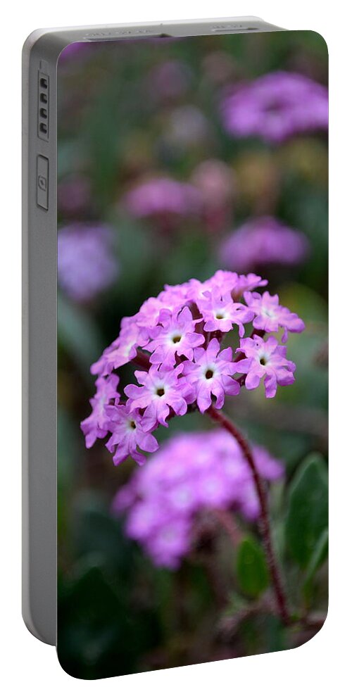  Portable Battery Charger featuring the photograph Coastal Flower by Dean Ferreira