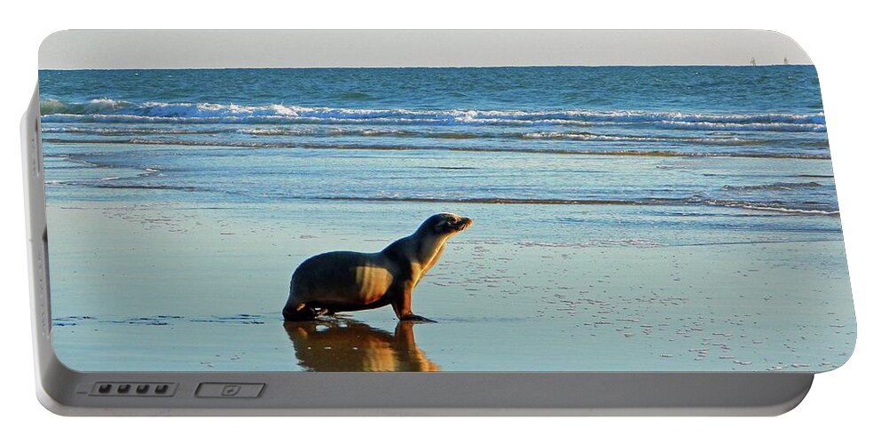 Sea Portable Battery Charger featuring the photograph Coastal Friends by Everette McMahan jr
