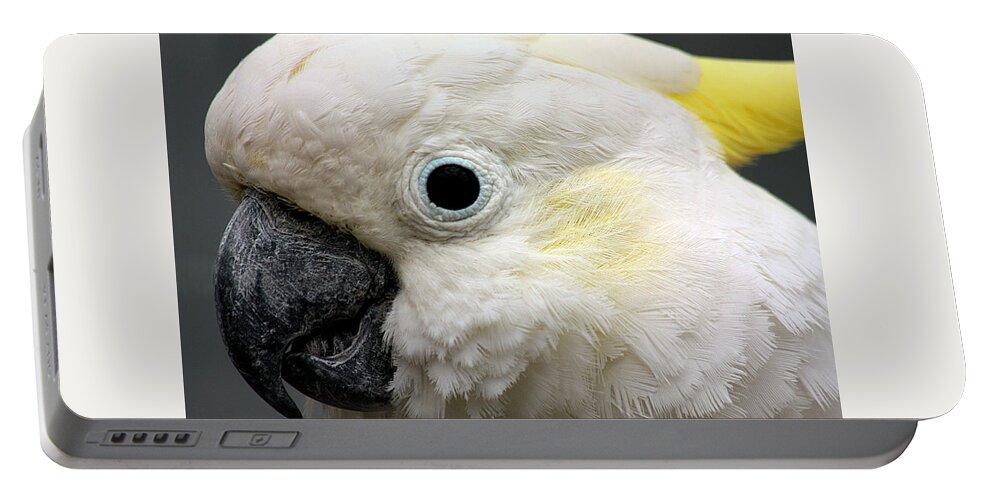 Nature Portable Battery Charger featuring the photograph Cockatoo Close Up by Sheila Brown