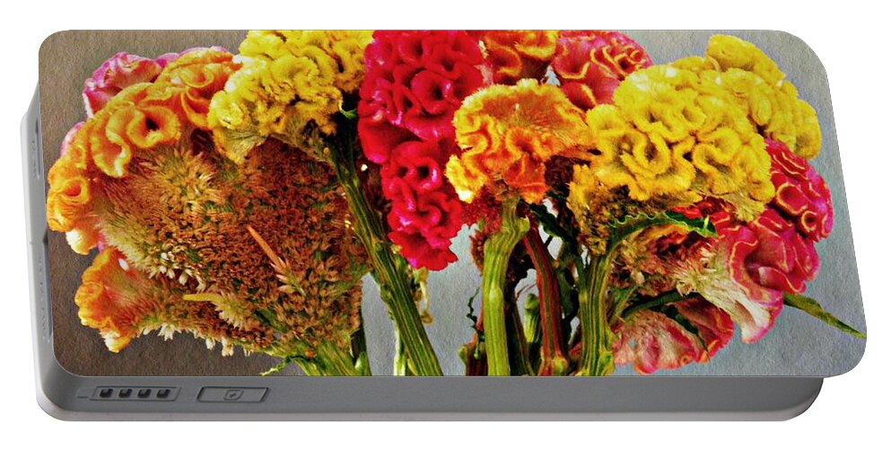 Cockscomb Portable Battery Charger featuring the photograph Cockscomb Bouquet 3 by Sarah Loft