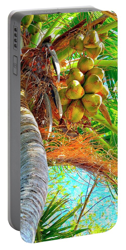 Coconut Palm Tree Portable Battery Charger featuring the photograph Coco by Alison Belsan Horton
