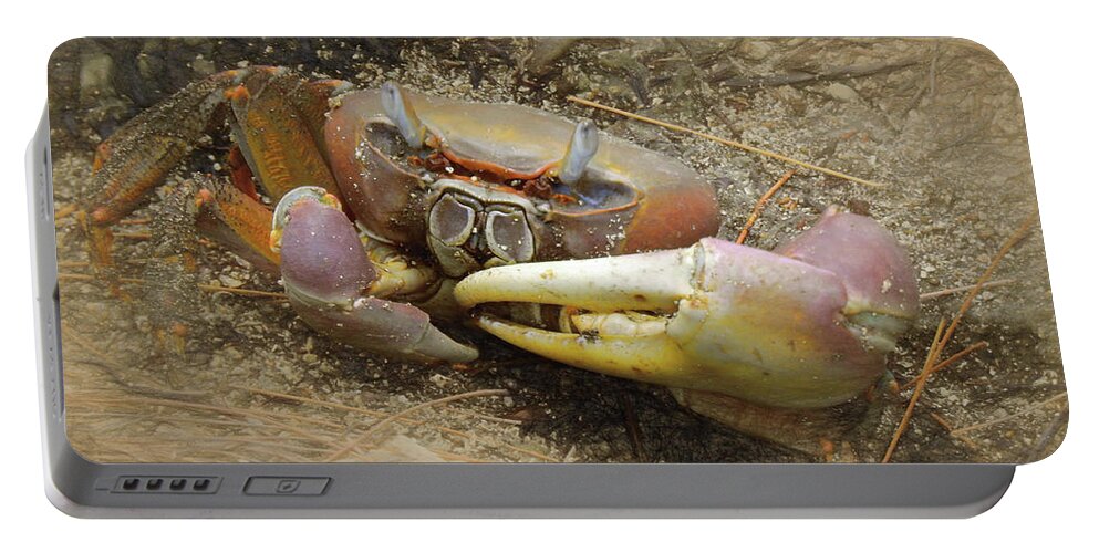 Coconut Crab Portable Battery Charger featuring the photograph Coconut Crab by Scott Cameron