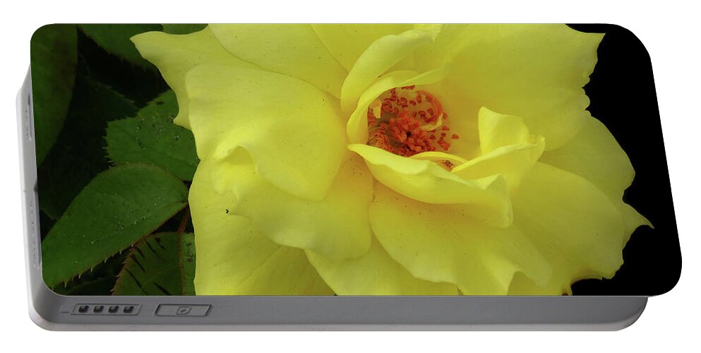 Floral Portable Battery Charger featuring the photograph Work of Nature by Mikki Cucuzzo